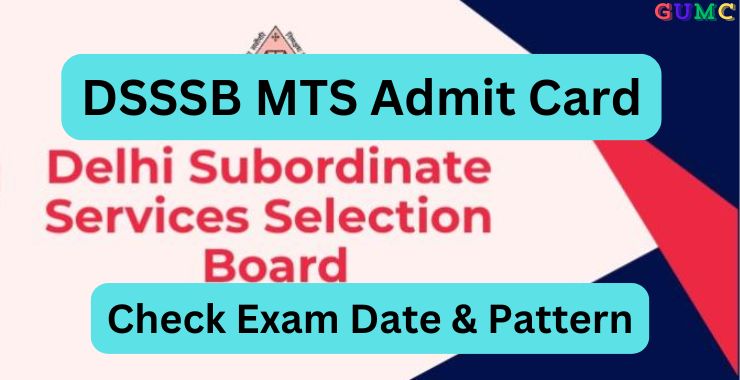 DSSSB MTS Admit Card